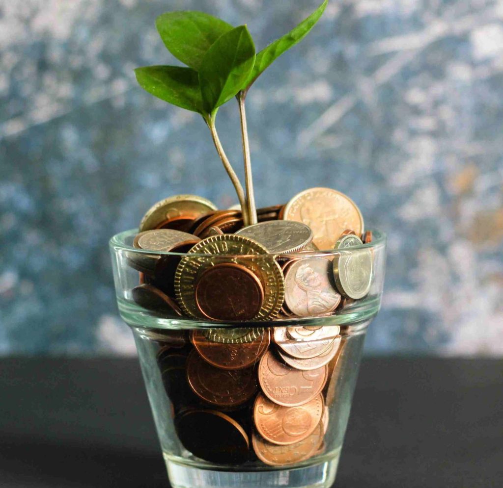 Bicchiere pieno di monetine con piantina verde in crescita: la metafora dei buoni comportamenti finanziari