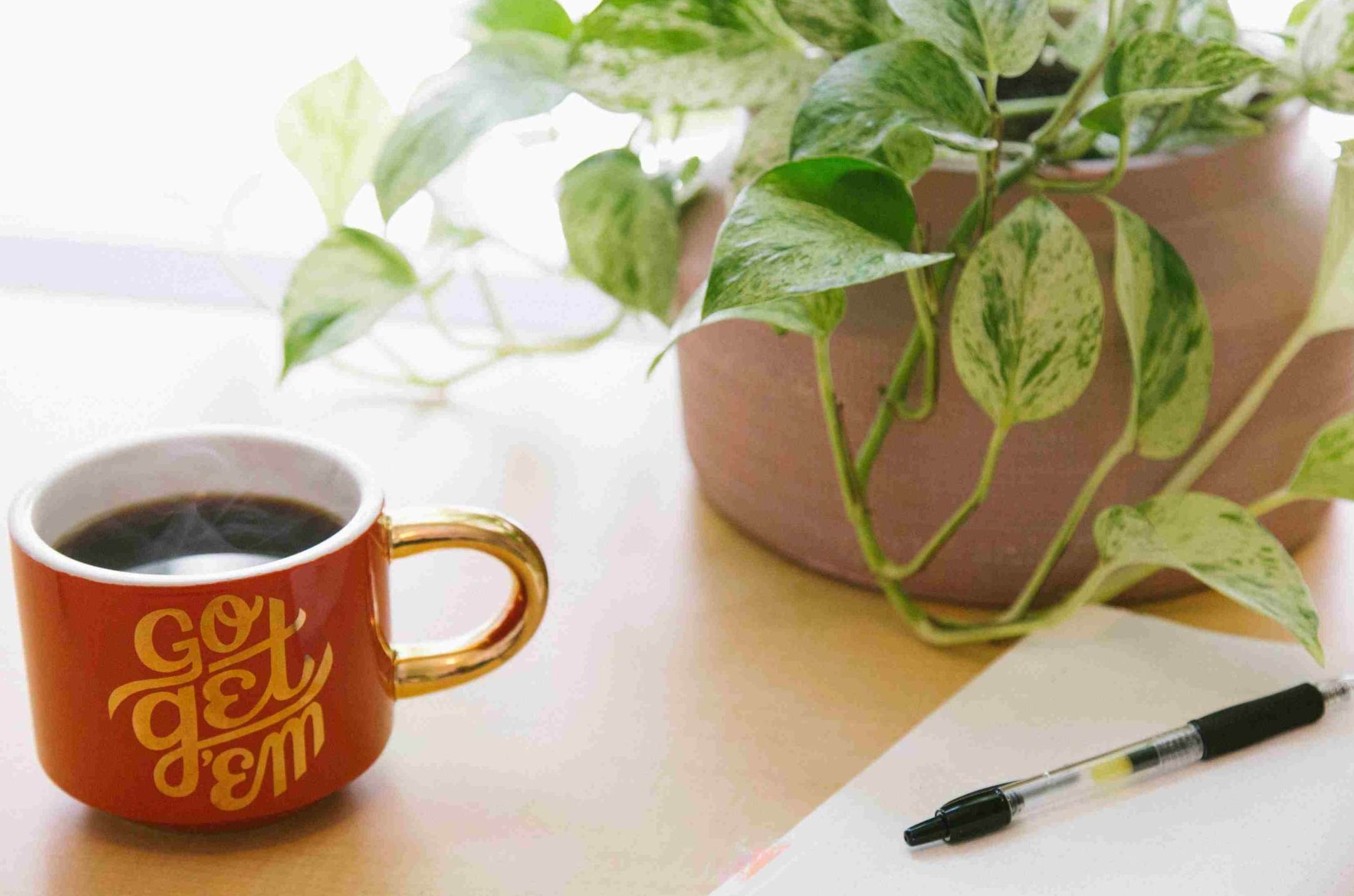 Tazza di caffe rosa con manico oro, un potus verde chiaro in un vaso di terracotta e un notes aperto su una pagina bianca con sopra una penna gel nera: l'ambiente ideale per pianificare e migliorare l'autodisciplina